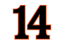 Santino Ferrucci's car number, #14