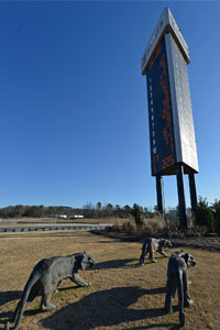 Tigers at Barber Motorsports Park