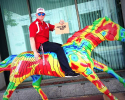 Conor Daly in Louisville