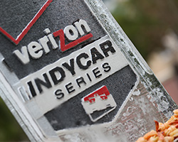 Ice Sculpture at Verizon Kickoff Party