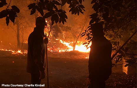 2017 California Wildfires