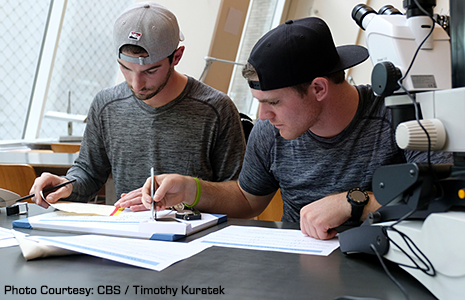 Alexander Rossi and Conor Daly