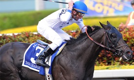 Thumbnail for Notes: Drivers can relate to Take Charge Indy