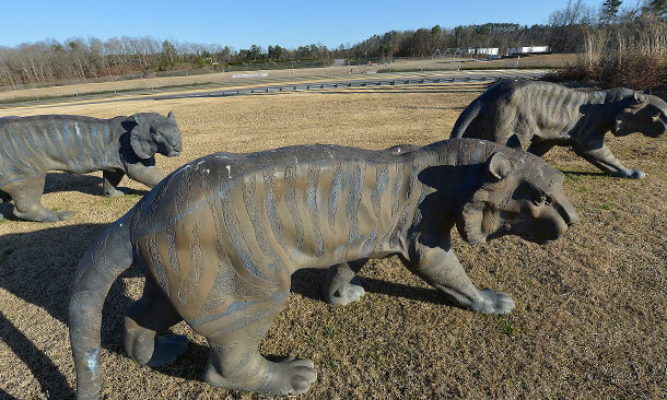 Tiger sculptures at Barber Motorsports Park