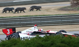 Thumbnail for Helio Castroneves has a unique routine to prepare for a Verizon IndyCar Series race