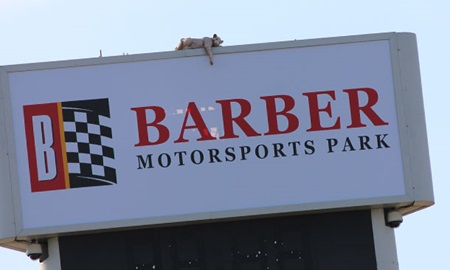 thumbnail for Honda GP of Alabama through our lenses