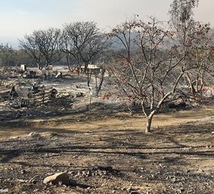 Kimball remains focused on fire relief assistance in California