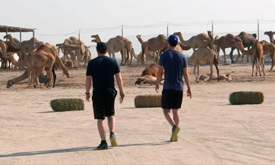 Thumbnail for 'Amazing Race' experience was eye-opening, isolating for Rossi, Daly