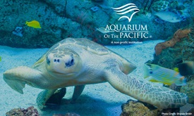 Thumbnail for Hinchcliffe to conduct first-ever underwater news conference