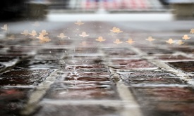 Thumbnail for Rain Brings End to Indianapolis 500 Open Test