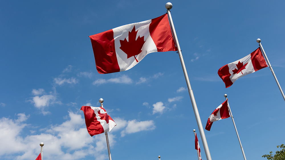 Canadian flags