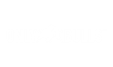 OnlyBulls