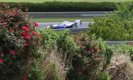 Thumbnail for Fast Forward: Honda Indy Grand Prix of Alabama