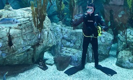 Thumbnail for James Hinchcliffe underwater news conference at Aquarium of the Pacific