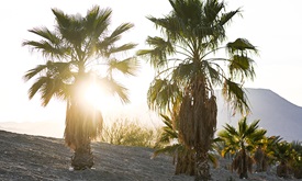 Thumbnail for Thermal Club Test: Day 2 Interviews